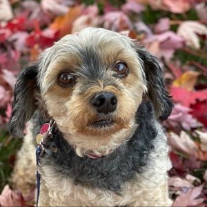 Meet your Posher, Gina